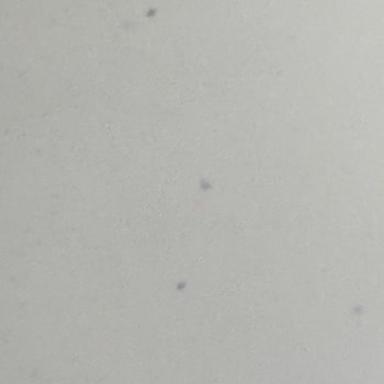 Projeksiyon Cihazında Tekrarlayan Görüntü Lekeleri Ve Yetersiz Müşteri Desteği