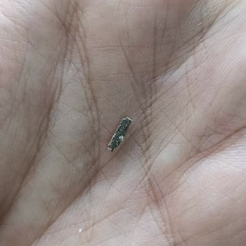 Halk Ekmek’te Yabancı Cisim Hijyen Ve Güven Sorununu Ortaya Çıktı