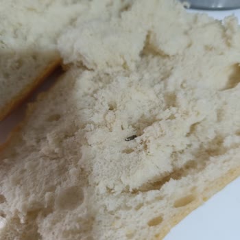 Halk Ekmek’te Yabancı Cisim Hijyen Ve Güven Sorununu Ortaya Çıktı