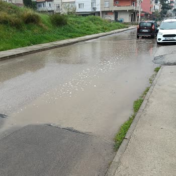 Çamlıtepe Mahallesi Öğretmenler Caddesi'nde Su Birikintisi Ve Drenaj Çözümü Talebi