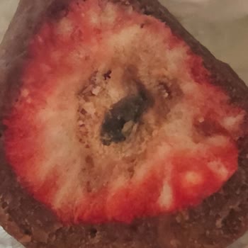 Patiswiss Çilekli Çikolata Kaplı Üründe Küf Sorunu