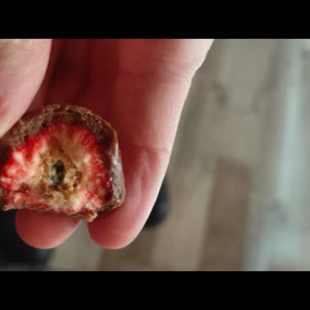 Patiswiss Çilekli Çikolata Kaplı Üründe Küf Sorunu