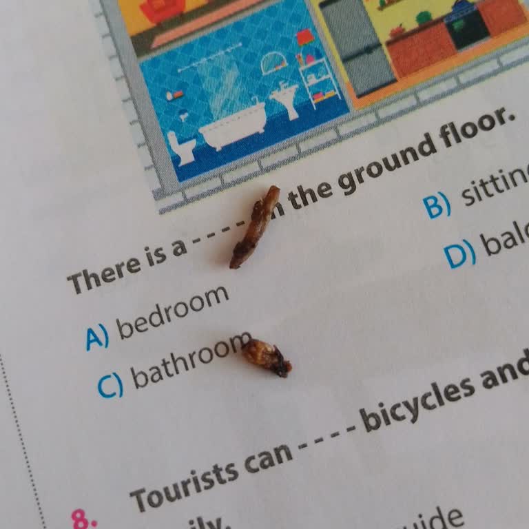 Yoğurtta Bulunan Böcek Benzeri Yabancı Maddeler Nedeniyle Sağlık Endişesi Ve İade Talebi