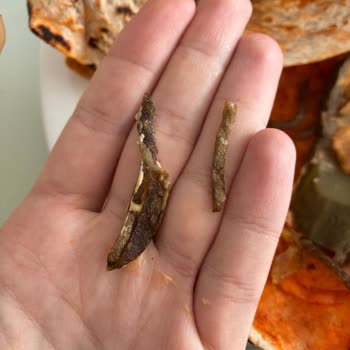 Kömürleşmiş Dürümler İçin Tam İade Talebi