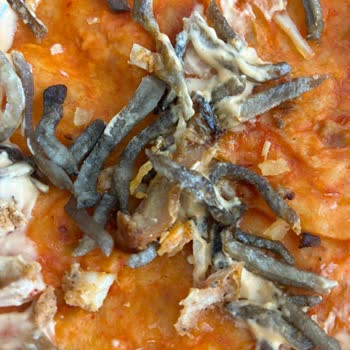 Kömürleşmiş Dürümler İçin Tam İade Talebi