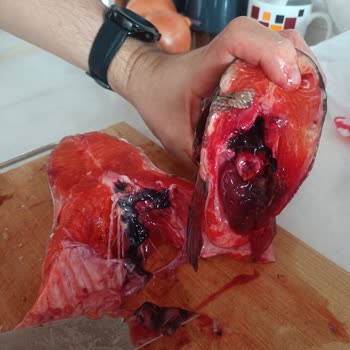 Carrefour SA Balık Temizliği Ve Müşteri Hizmetinde Sürekli İhmalkârlık