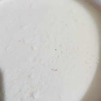 Sütaş Kaynaksız Yoğurtta Böcek Bacağı Ve Siyah Kalıntı Şoku