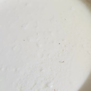 Sütaş Kaynaksız Yoğurtta Böcek Bacağı Ve Siyah Kalıntı Şoku