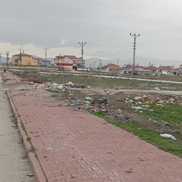 Hasbihal Sokakta Başıboş Köpekler Ve Çöp Toplanmaması Sorunu