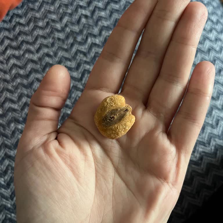 Lüks Karışık Kuru Yemişte Yarı Kısım Mısır, Ücretle Uyuşmuyor