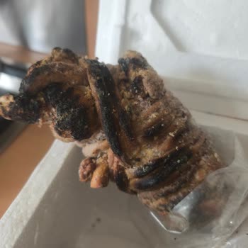 Sütübol Kokoreç Sahte Instagram Kampanyası Ve Eksik Ürün Sebebiyle 2000 TL İade Talebi