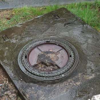 Atık Su Gider Borusundaki Sürekli Tıkanıklık Ve Kalıcı Çözüm Talebi