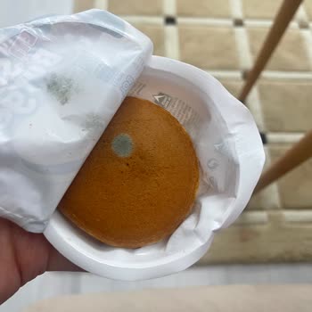 Tarihi Geçmemiş Eti Süt Burgerde Küf Tespiti