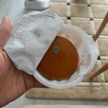 Tarihi Geçmemiş Eti Süt Burgerde Küf Tespiti