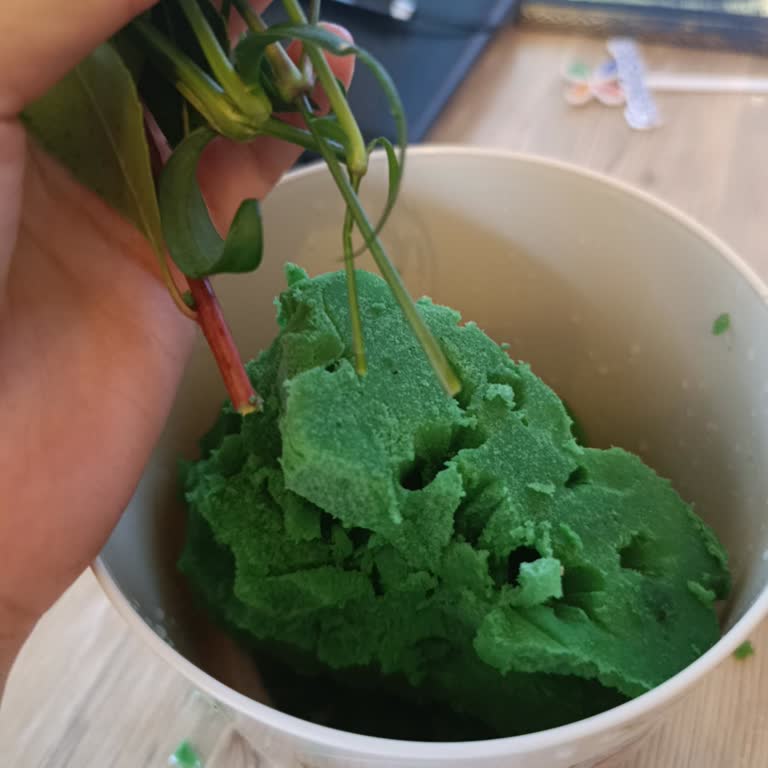 Teslim Edilen Saksı Çiçeği Görünüm Ve Kalite Açısından Beklenenin Gerisinde