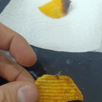 Ruffles Cipsinde Bulunan Yabancı Cisim Gıda Güvenliği Endişesi