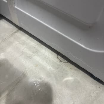 Beko Çamaşır Makinesinin Kısa Sürede Paslanması Ve Servis İlgisizliği