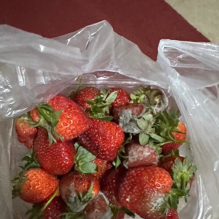 Kasa İçindeki Küflü Çilekler Sağlık Tehlikesi Yaratıyor