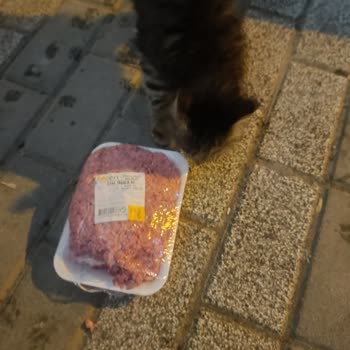 Müdürün Kaba Ve Zorlayıcı Alım Teklifi