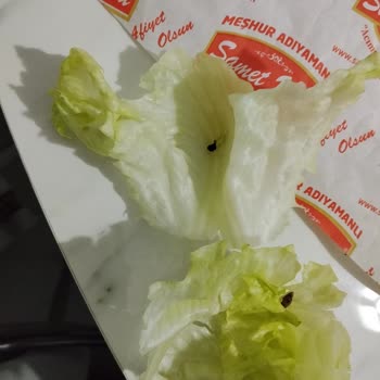 Paket Çiğköfte İçinde Böcek, Hijyen Denetimi Talebi