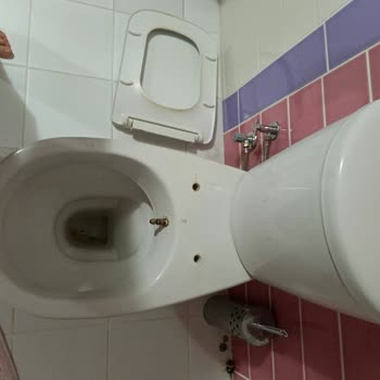 Kırılan Turkuaz Klozet Kapağı Menteşesi İçin Orijinal Parça Talebi