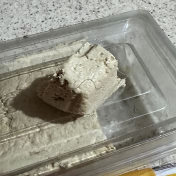 Körfeze Bağlı Hereke Şok Şubesinde Satın Alınan Koska Kakaolu Helvanda Kıl Çıktı