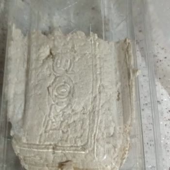 Körfeze Bağlı Hereke Şok Şubesinde Satın Alınan Koska Kakaolu Helvanda Kıl Çıktı