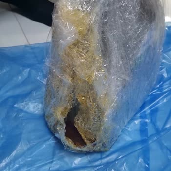 Mobil 1 Motor Yağı Sapında Çatlak Ve Sızıntı: Hasarsız Ürün Değişimi Talebi