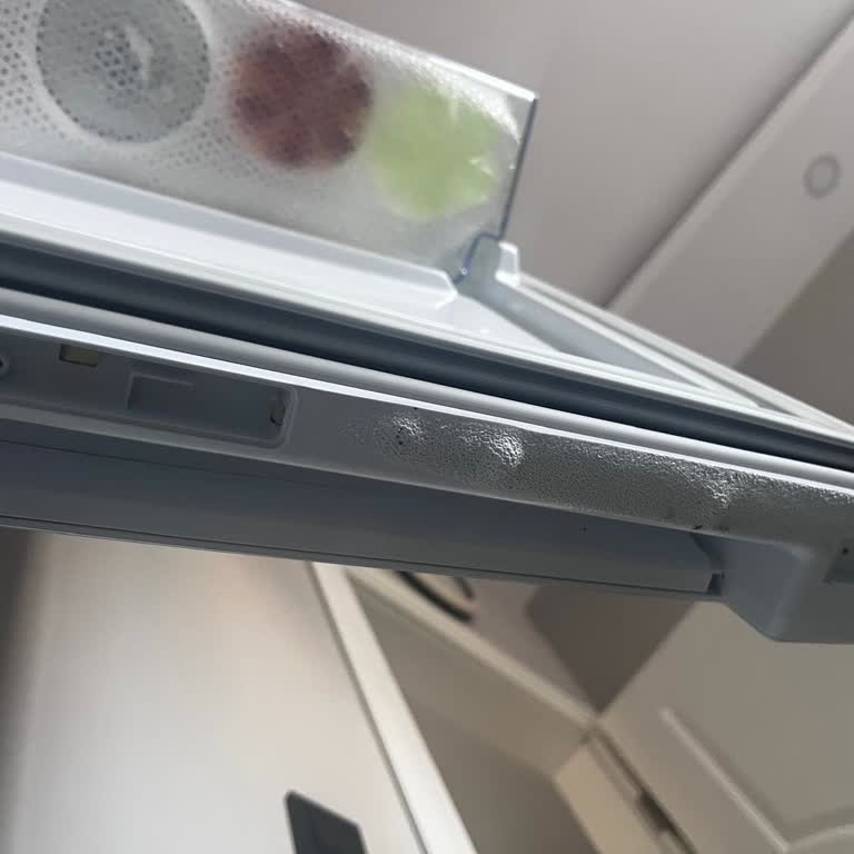 Buzdolabının Sürekli Servis Arızası Ve Kapağın Erimesi Sonrası Tam Değişim Talebi