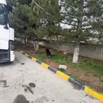 Çalışanın Bağırarak Müşteriyi Küçük Düşürmesi