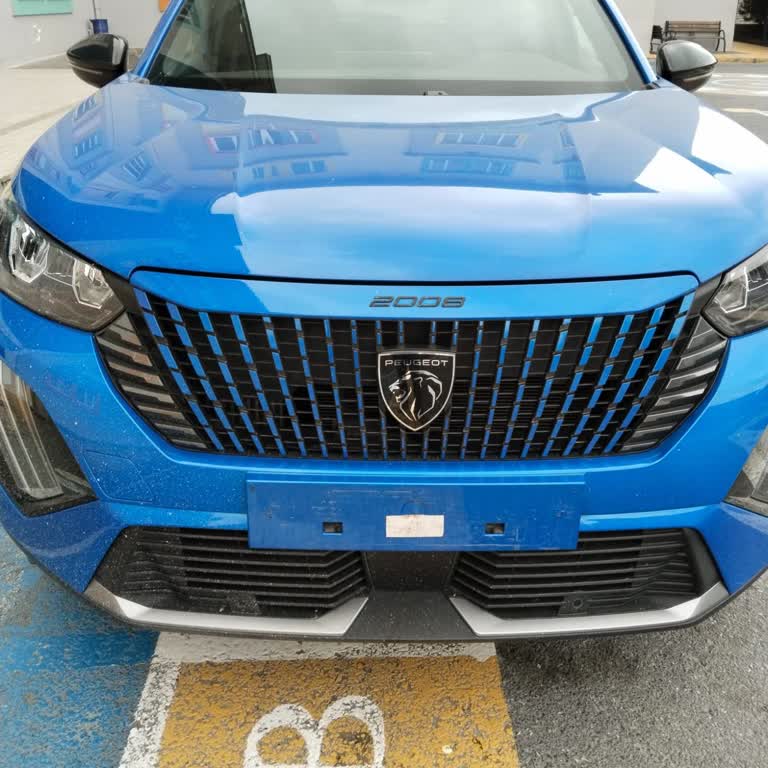 Yetkili Serviste Plaka Montaj Hatası Ve Müşteri Mağduriyeti