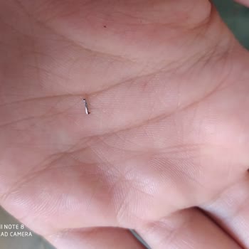 A101 Çay Poşetinde Metal Parça Bulunması Sağlık Riski Olarak Bildirildi