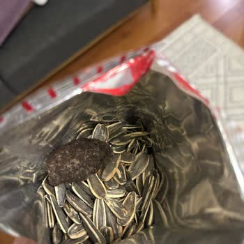 Tadım Çekirdeğinde Taş Büyüklüğünde Yabancı Cisim Ve Acı Tat