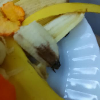 Carrefour’dan Çürük Meyveler Çocuğumda Sağlık Krizi Yarattı