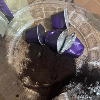 Kapsül Patlaması Nedeniyle Hasarlı Siparişin Tekrar Gönderilmesi