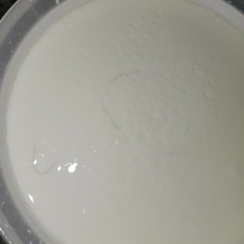 İçim Yoğurdunda Kıl Tespiti Hijyen Ve Kalite Sorunu