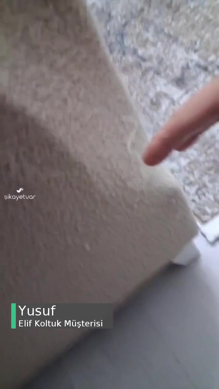 Elif Koltuk Param Boşuna Gitti! videonun kapak resmi