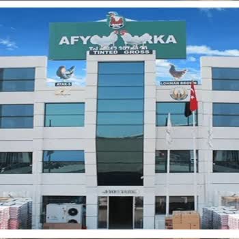 Afyon Yarka Çadır Firmasının Garanti İhlali Ve Çökmesiyle 1000 Tavuk Kaybı