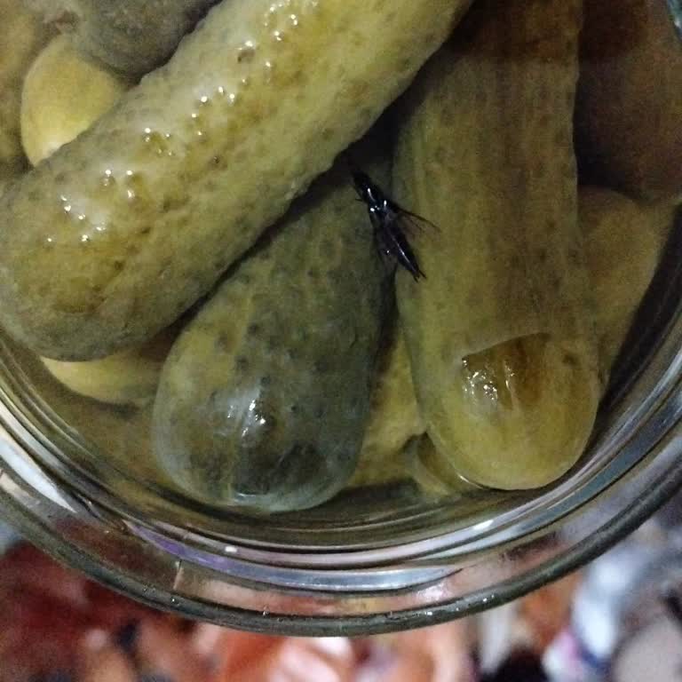 BİM Şubesinde Turşu Kavanozunda Böcek Bulunması