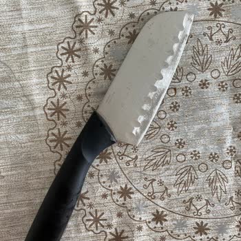 Tefal Balık Bıçağında Hızlı Paslanma Ve Güven Sorunu