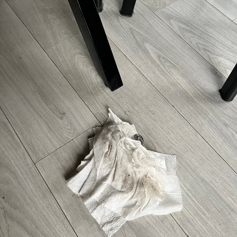 Bois Bungalov’da Hijyen Sorunları Ve Temizlik İhmalinin Gölgesindeki Tatil Kabusu