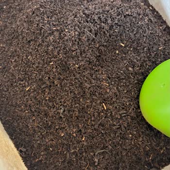 Çay Paketi Toz Oranı Şikayeti ve İade Talebi