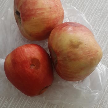 Migros Hemen'de Bozulmuş Ürün Ve Saygısız Müşteri Hizmeti