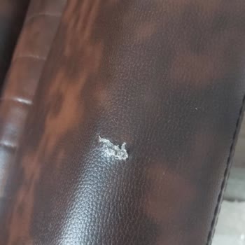 Yırtık Ofis Koltuğu Ve Yetkisiz Kart Çekimi İçin Acil Müdahale