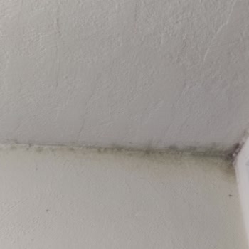 İki Ay Yanıtsızlık Sonrası Evimiz Su Alıyor Ve Sigorta Şirketi İhmalkâr