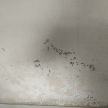 İki Ay Yanıtsızlık Sonrası Evimiz Su Alıyor Ve Sigorta Şirketi İhmalkâr