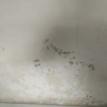 İki Ay Yanıtsızlık Sonrası Evimiz Su Alıyor Ve Sigorta Şirketi İhmalkâr