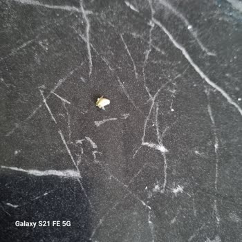 Nescafe 2'si 1 Arada’da Yabancı Madde Bulunması Ve Sağlık Endişesi