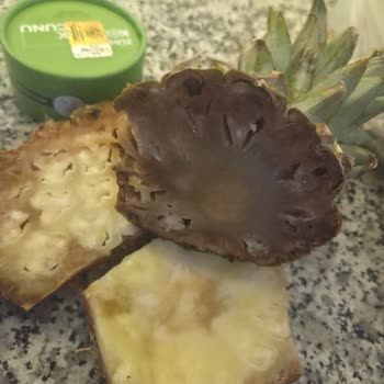 Kasada Unutulan Pil Ve Çürük Ananas İçin Çözüm Talebi