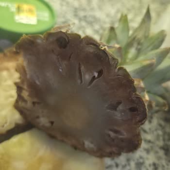 Kasada Unutulan Pil Ve Çürük Ananas İçin Çözüm Talebi